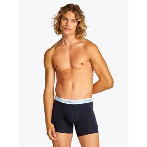 Tommy Hilfiger 3-Pack Logo Boxer Briefs